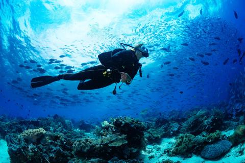 Scuba diving in Malta