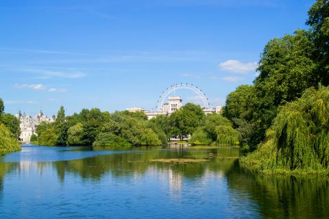 alpadia-london-woldingham-summer-camp-hero