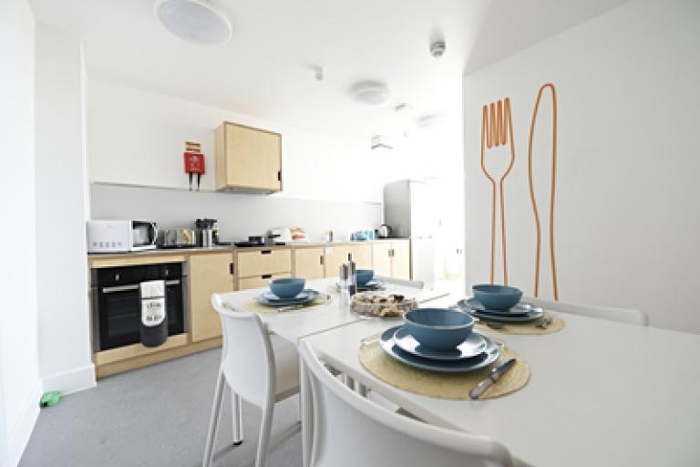 alpadia-surrey-house-london-city-kitchen.jpeg.jpg